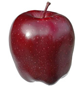Apple | GT Fruitech